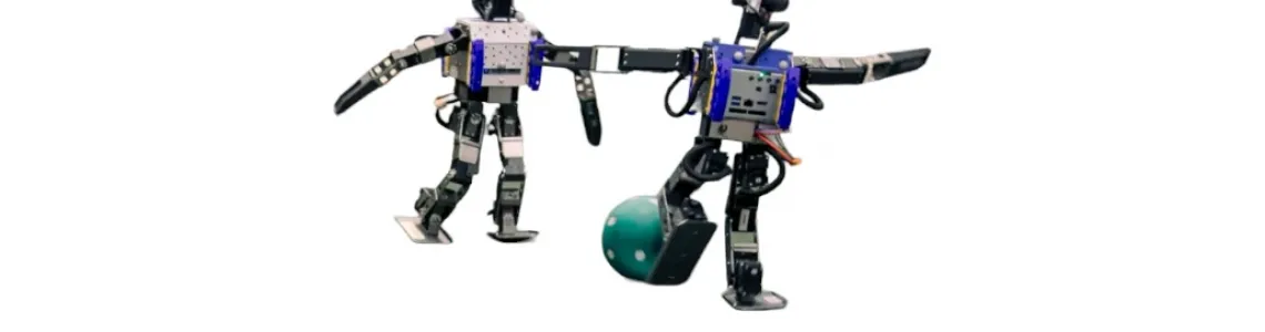 Humanoid Robot