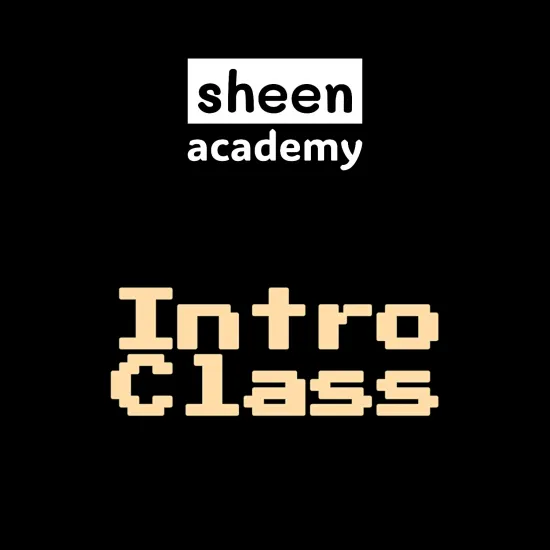 sheen academy Intro Class Subscription