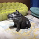 Hippo Emerges From Water Coffee Table